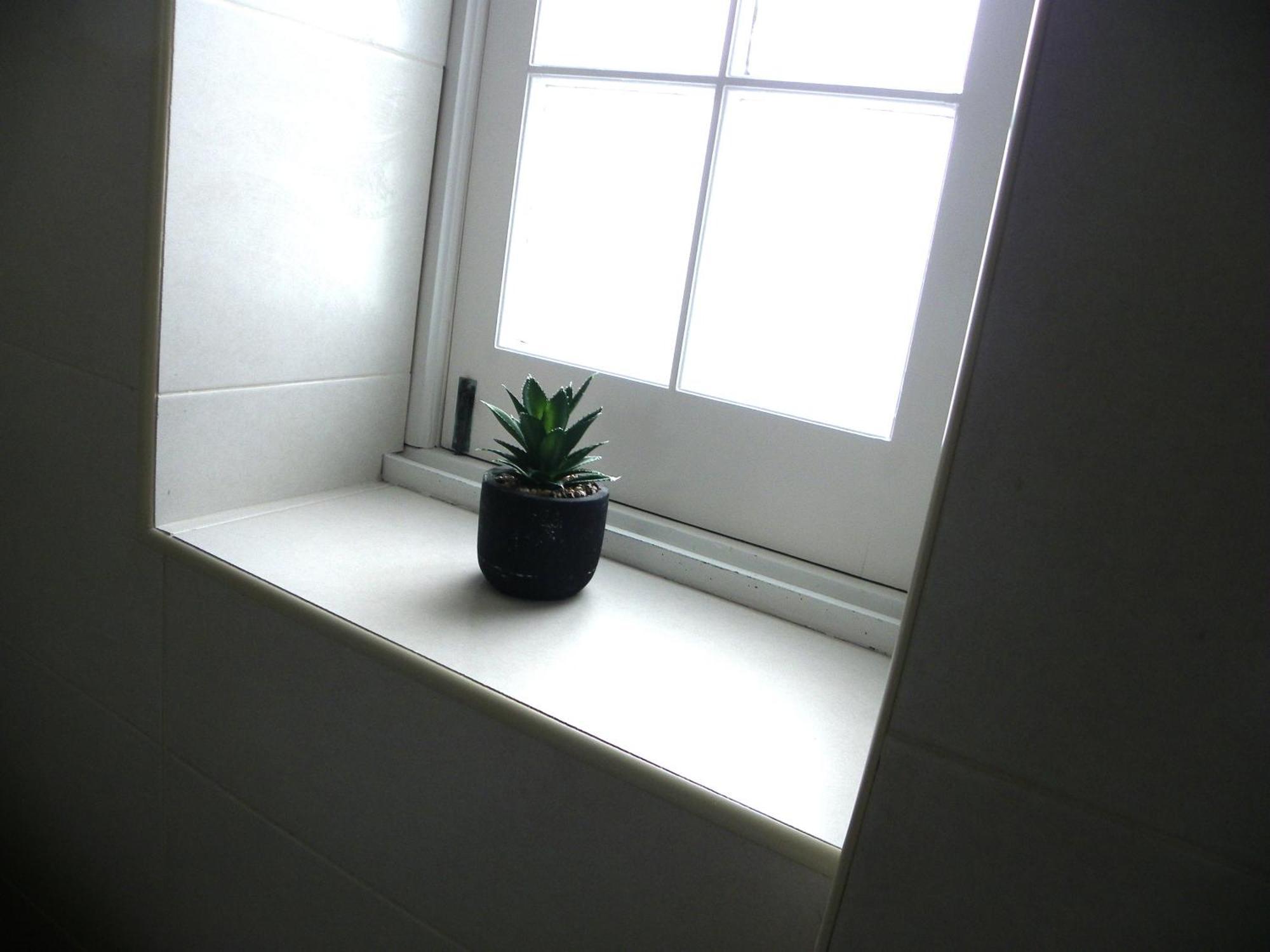 Lagoa Hostel & Suites 객실 사진